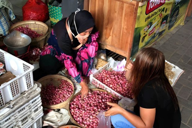 Faktor Penyebab Harga Bawang Merah Naik