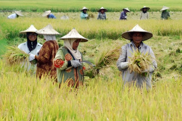 Hubungan Manusia dan Alam dalam Kehidupan Sehari-hari
