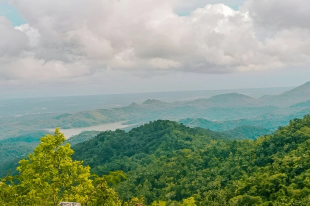 Keindahan Alam Pegunungan dan Nilai Ekologisnya