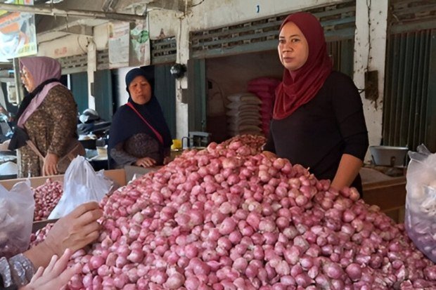 Kondisi Harga Bawang Merah di Pasar Induk Kramat Jati