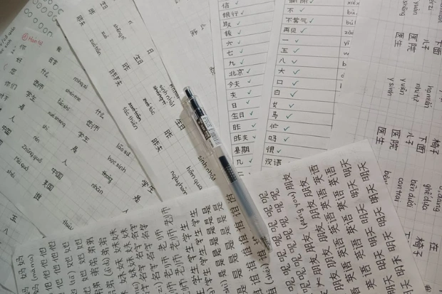 Karakteristik Bahasa Mandarin