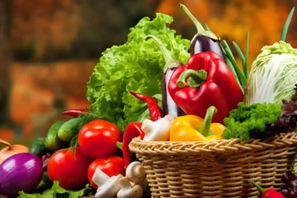 Cara Bisnis Sayur Organik dengan Modal Kecil Untung Besar