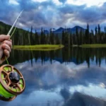 Mancing Ikan Hobi Sederhana yang Menenangkan Pikiran