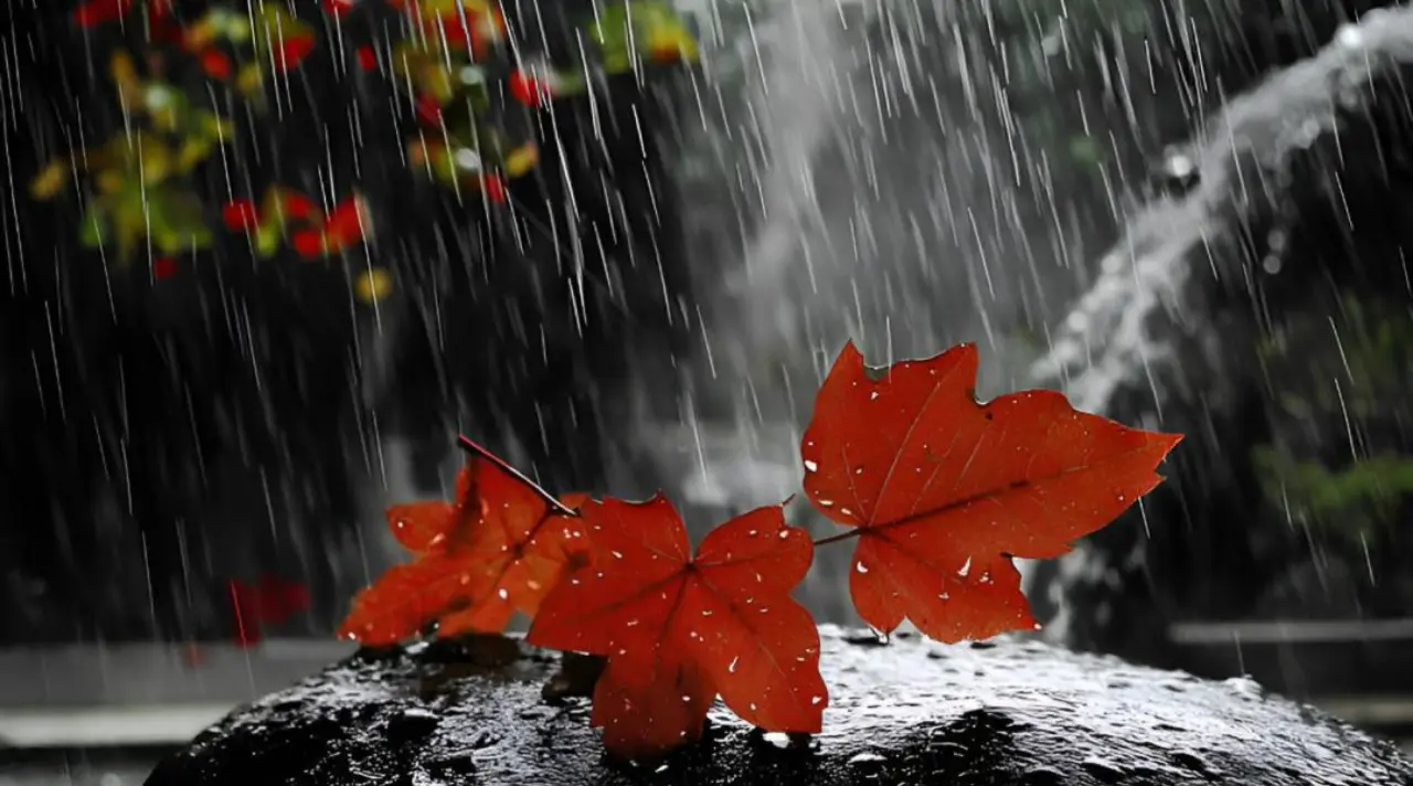 Mengapa Hujan Membuat Kata-Kata Terasa Lebih Romantis