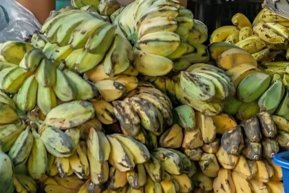 Pisang Rebus Kembali Populer sebagai Camilan Sehat