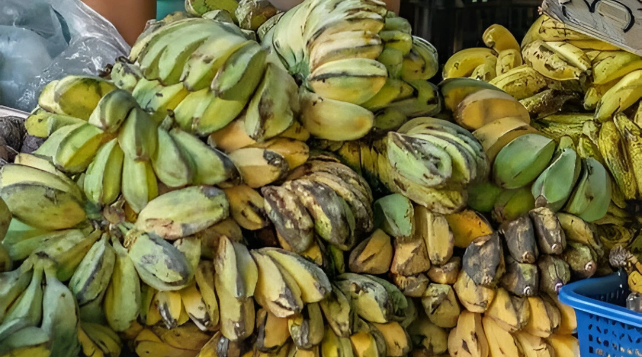 Pisang Rebus Kembali Populer sebagai Camilan Sehat