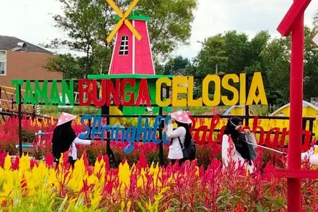 Daya Tarik New Celosia Semarang